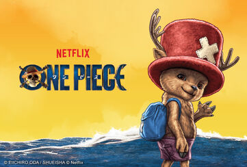 One Piece / [object Object] / Discover now!