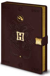 Quidditch - Premium Notebook, Harry Potter, Office Accessories