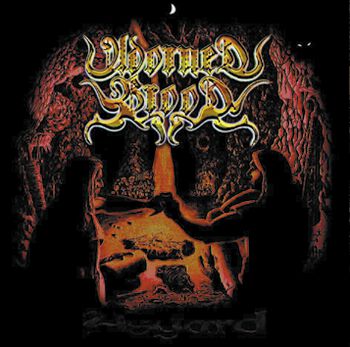 Asgard | Adorned Brood CD | EMP