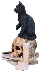 Spirits Of Salem, Nemesis Now, Figurine Set