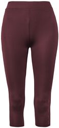 Burgundy Leggings with Lace at Sides