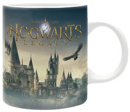 Hogwarts Legacy, Harry Potter, Cup