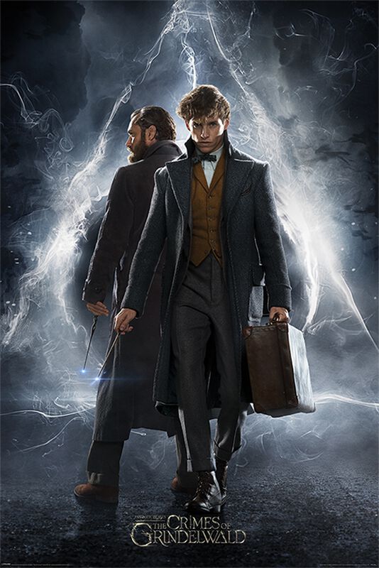 The Crimes of Grindelwald - Newt & Dumbledore