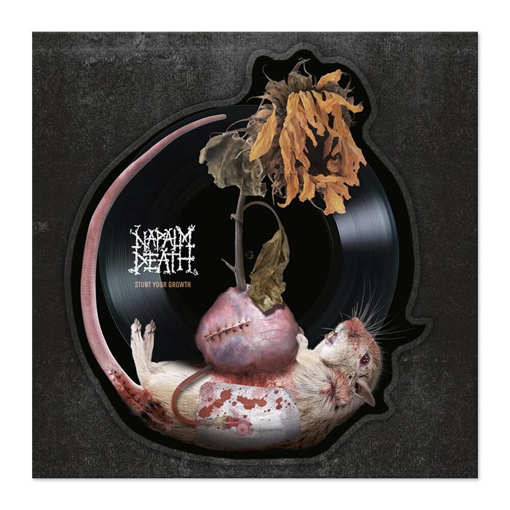 Stunt your growth Napalm Death LP EMP