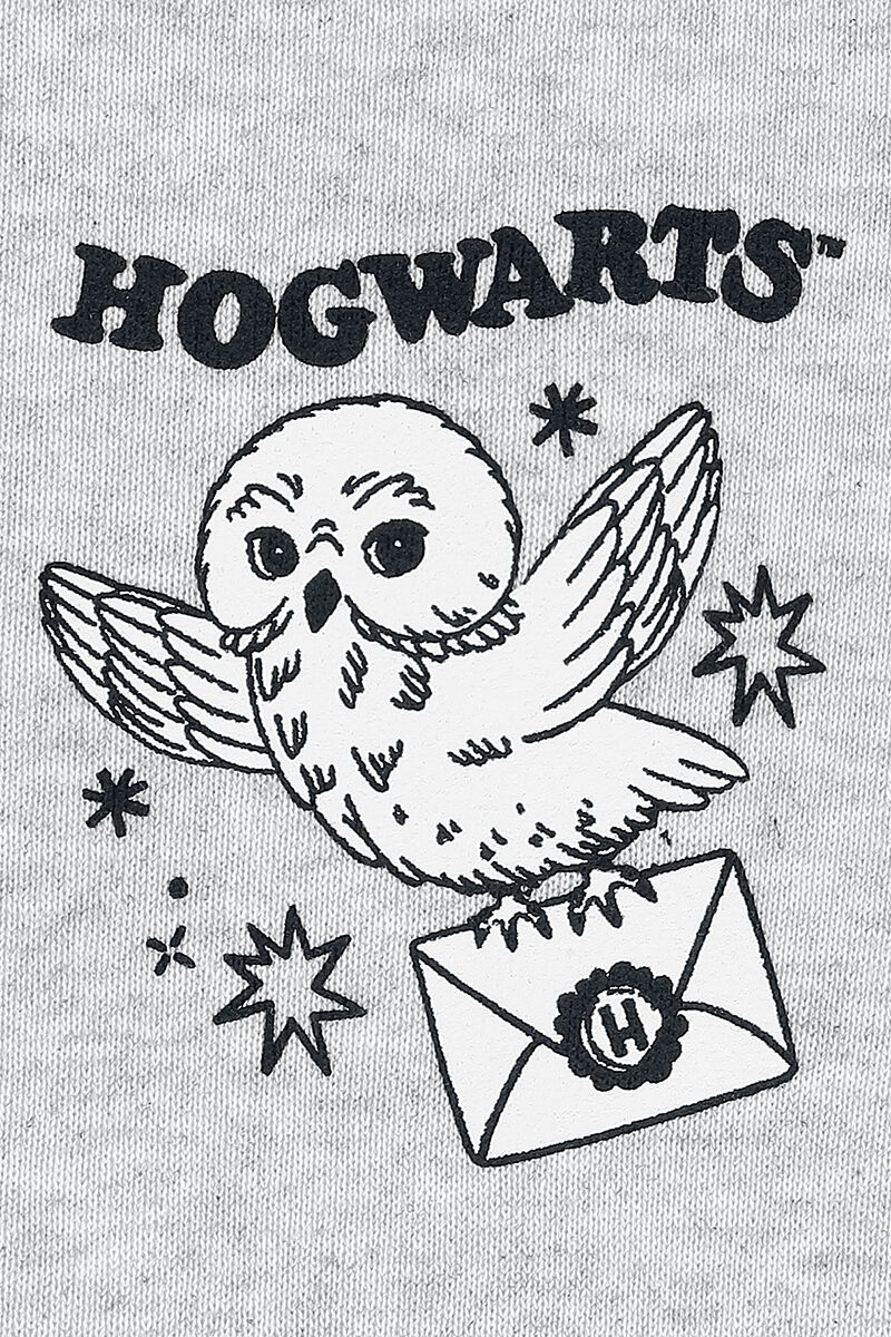 Harry Potter - Ik heb gestudeerd aan Hogwarts Dames Sweater grijs