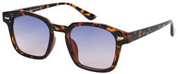Maui sunglasses with case