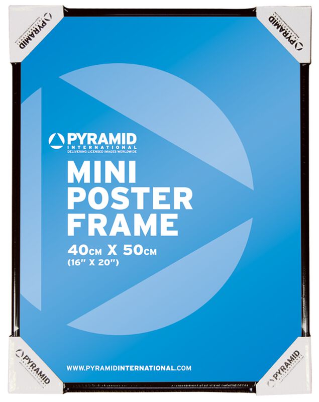 Poster Frame 40x50cm Poster Frame Poster Frame Emp