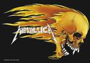 Skull & Flames, Metallica, Flag