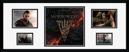 Online - Morrowind (Storyboard)