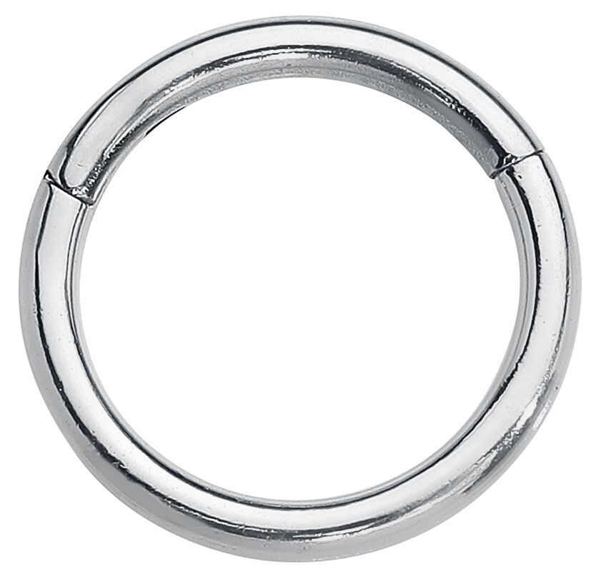 Segment Ring With Hinge