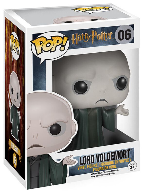 Lord Voldemort Vinyl Figure 06
