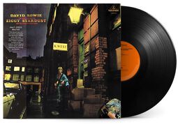 The rise and fall of Ziggy Stardust and the spiders from Mars