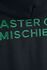 Master Of Mischief