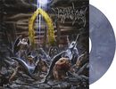Here in after, Immolation, LP