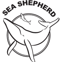 Certificate for Sustainability